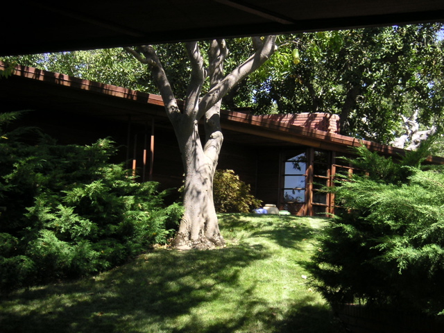 PICT0015.JPG