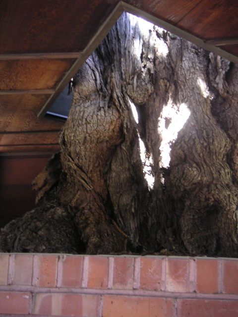 PICT0016.JPG