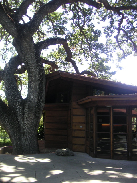 PICT0005.JPG