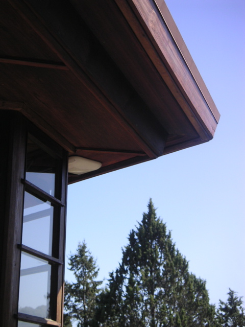 PICT0051.JPG