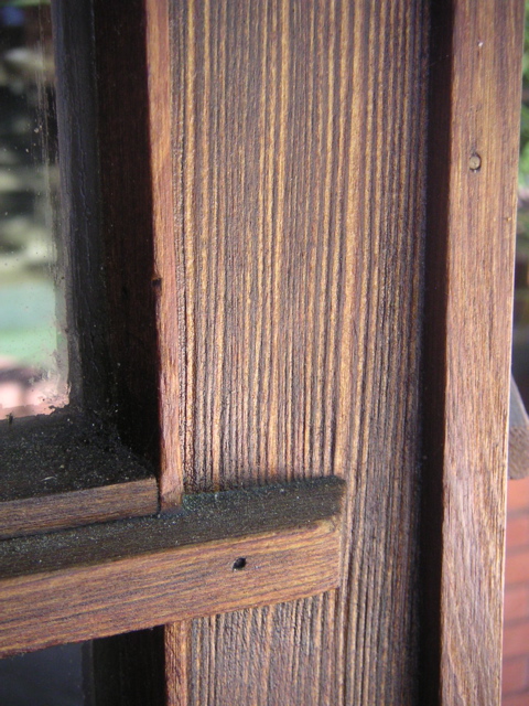 PICT0064.JPG