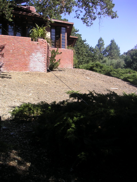 PICT0066.JPG