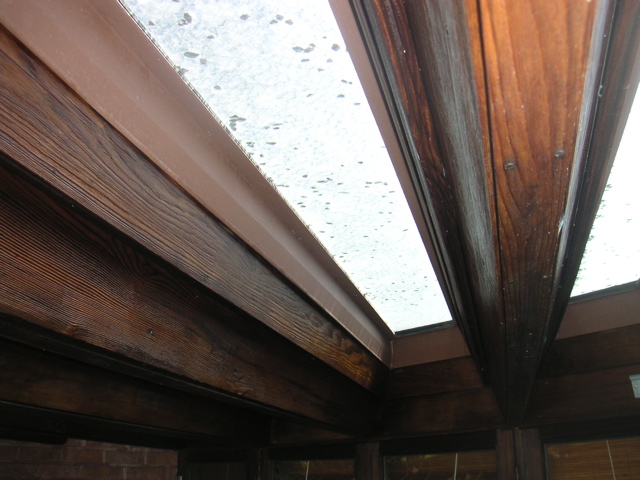 PICT0010.JPG