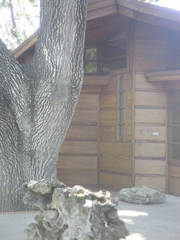 PICT0003.JPG