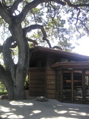 PICT0005.JPG