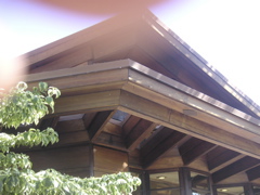 PICT0045.JPG