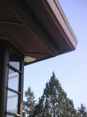 PICT0051.JPG