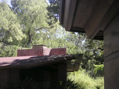 PICT0007.JPG