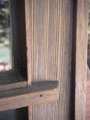 PICT0064.JPG