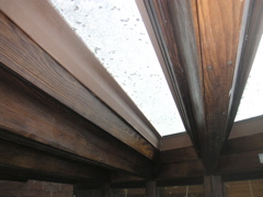 PICT0010.JPG