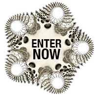ENTER NOW